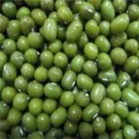 Green Mung Bean